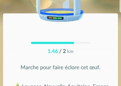 Oeuf obtenu au pokestop du village