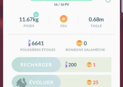 Pokemon capturé au village