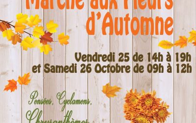 Marché aux fleurs d’automne
